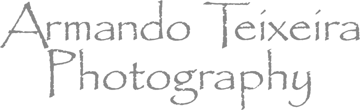 Armando Teixeira Photography